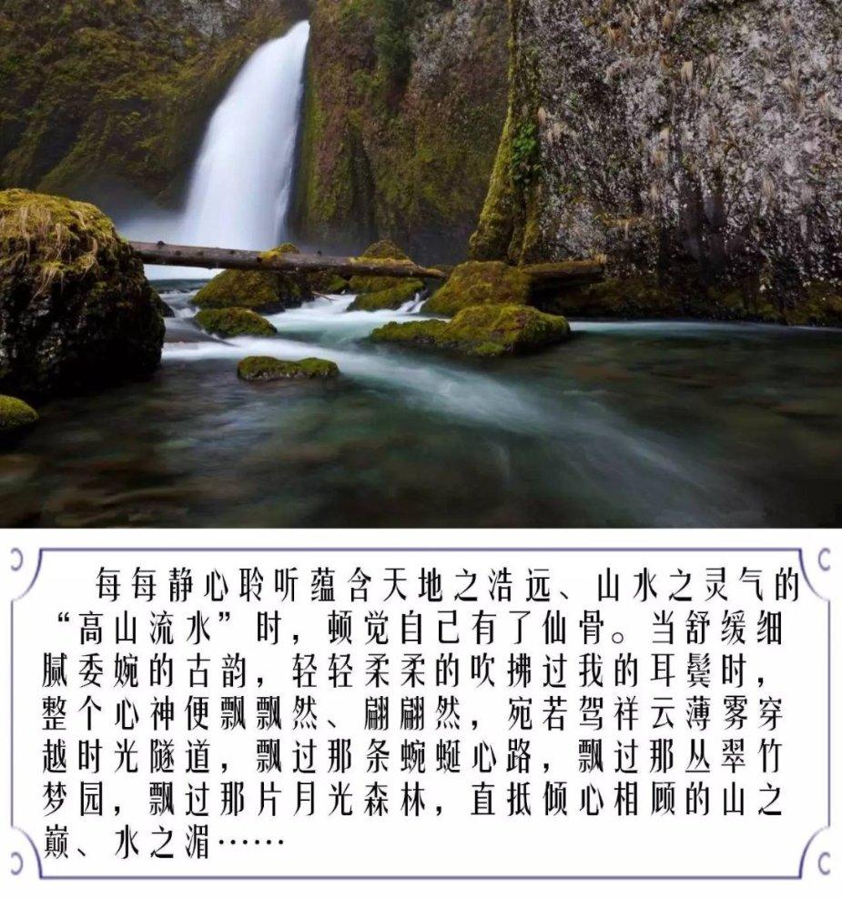 逃离亚洲丛林